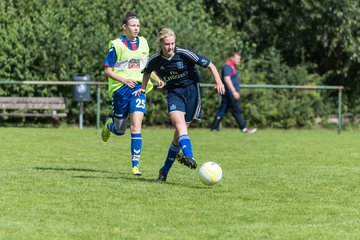 Bild 227 - B-Juniorinnen VfL Pinneberg - HSV : Ergebnis: 1:4